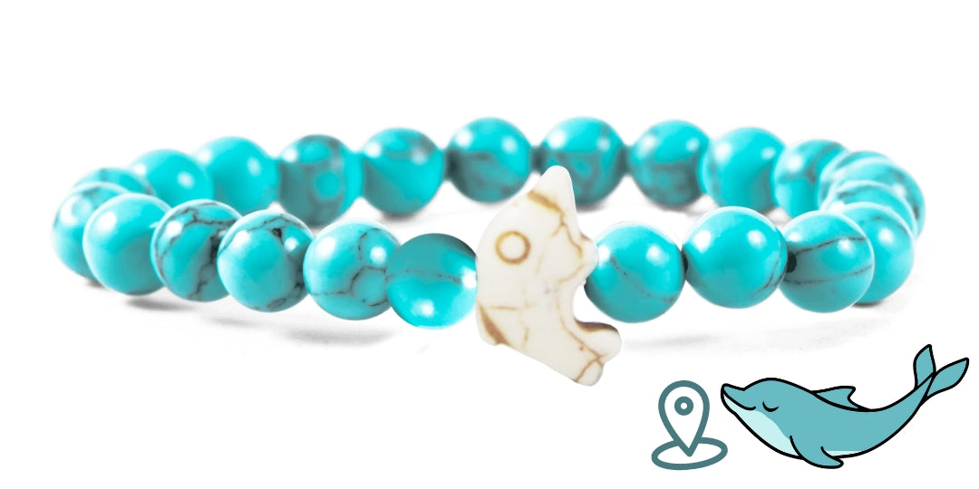 "Dolphin" tracking bracelet