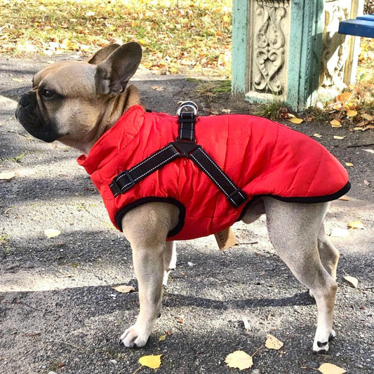 WonderJacket with Harness - Keep Warm & Mud-Free