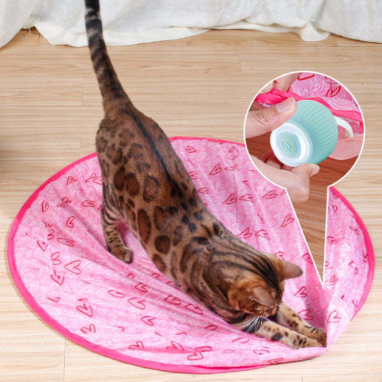 2 in 1 Simulated Interactive hunting cat toy