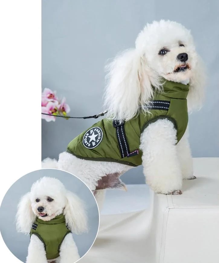 Waterproof Furry Jacket for Dogs of All Sizes