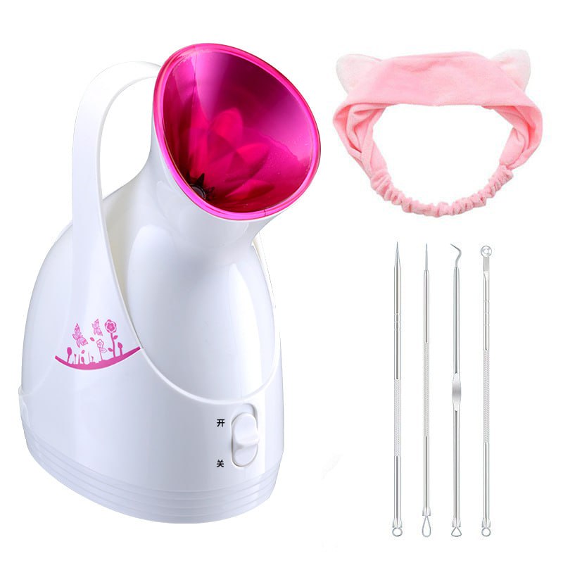 YourEnvie Ionic Facial Steamer Pro